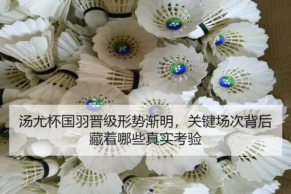 汤尤杯国羽晋级形势渐明，关键场次背后藏着哪些真实考验